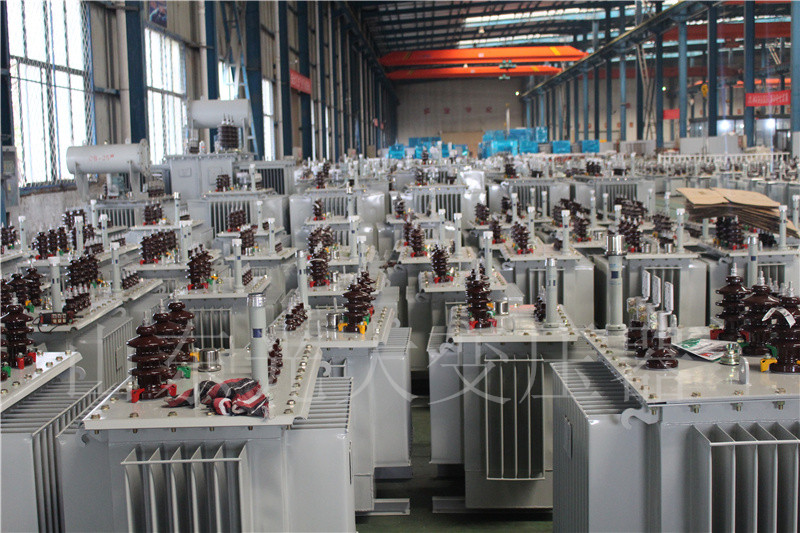 乌拉特中S22-800KVA/10KV